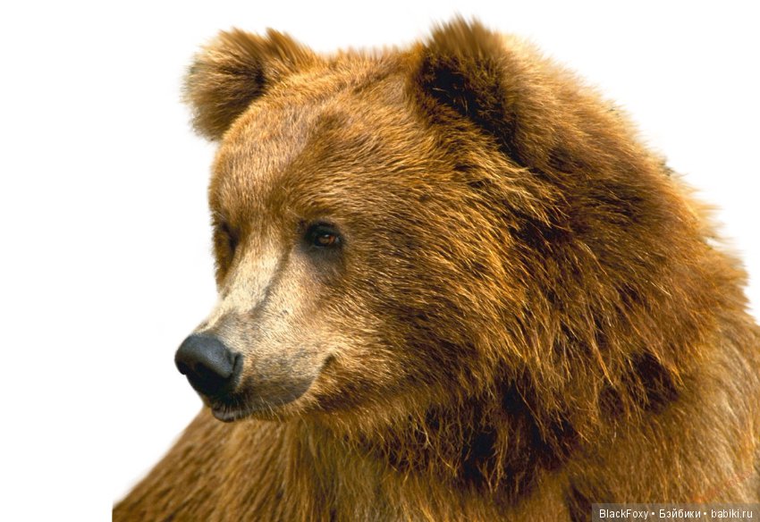 Набор кружек к 23 февраля Строитель и Лесник (фото 5)