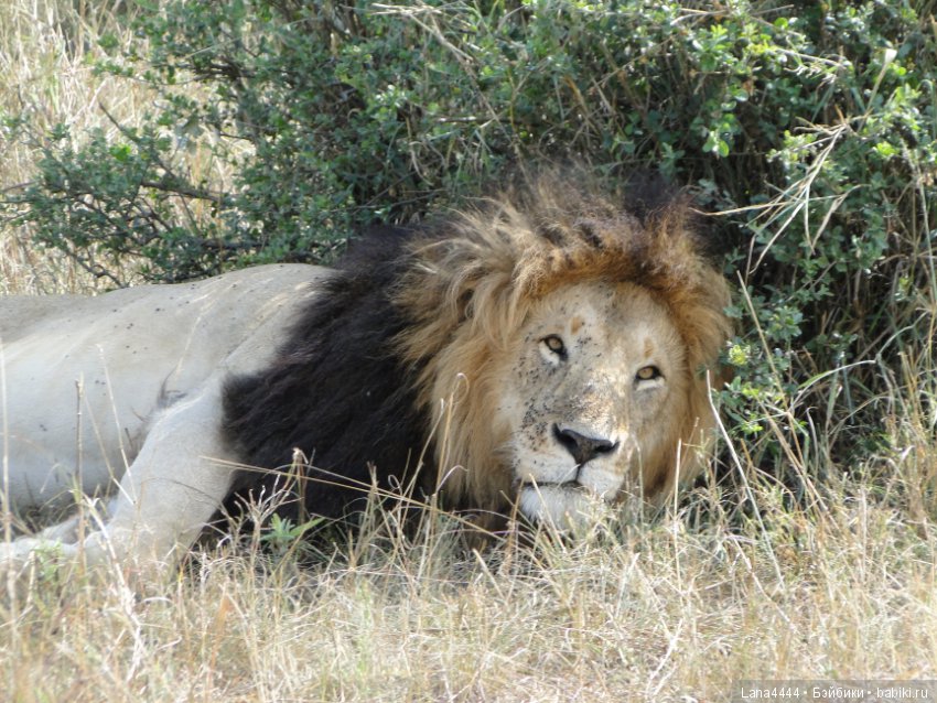 Приоткроем чуть чуть ящик Пандоры