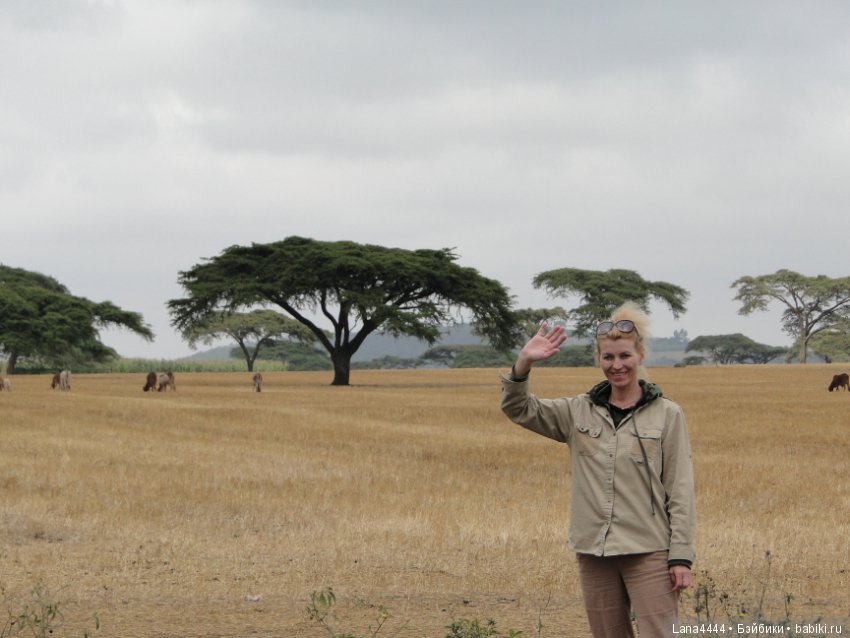 Приоткроем чуть чуть ящик Пандоры (фото 2)