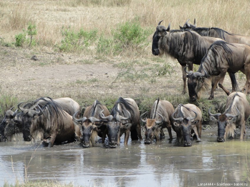 Приоткроем чуть чуть ящик Пандоры (фото 3)