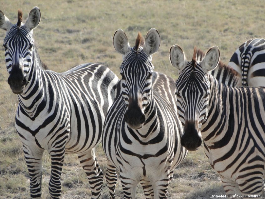 Приоткроем чуть чуть ящик Пандоры