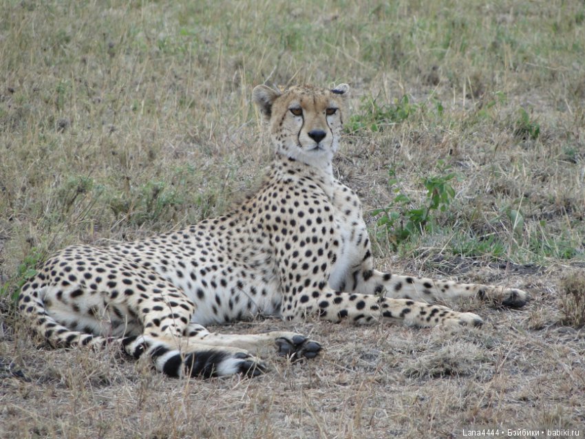 Приоткроем чуть чуть ящик Пандоры (фото 7)