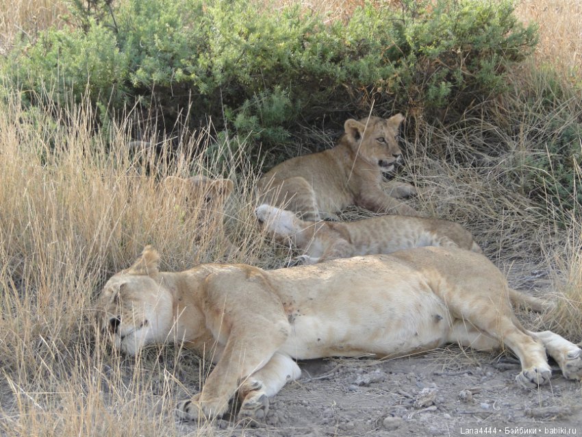 Приоткроем чуть чуть ящик Пандоры (фото 6)