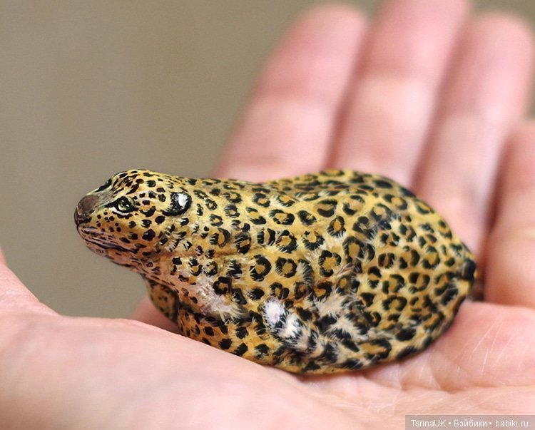 Устремления камней — Мир искусства и творчества: стимпанк