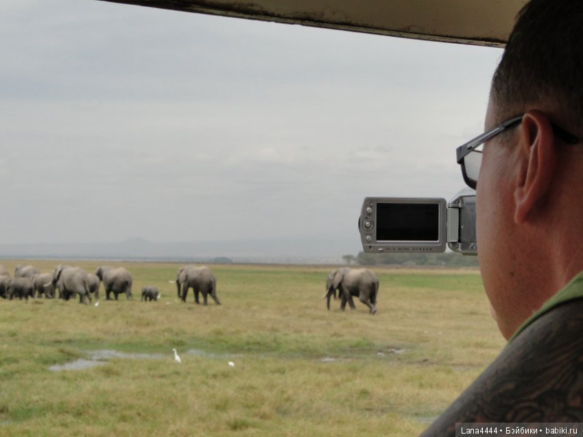Приключения в Африке, как все начиналось... "Джамбо , Кения" (фото 9)