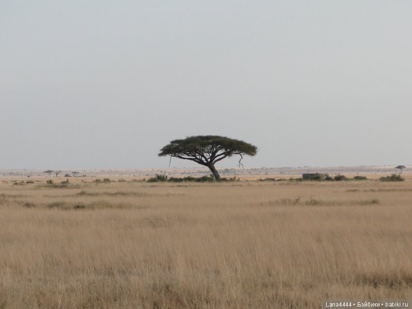 Приключения в Африке, как все начиналось... "Джамбо , Кения"