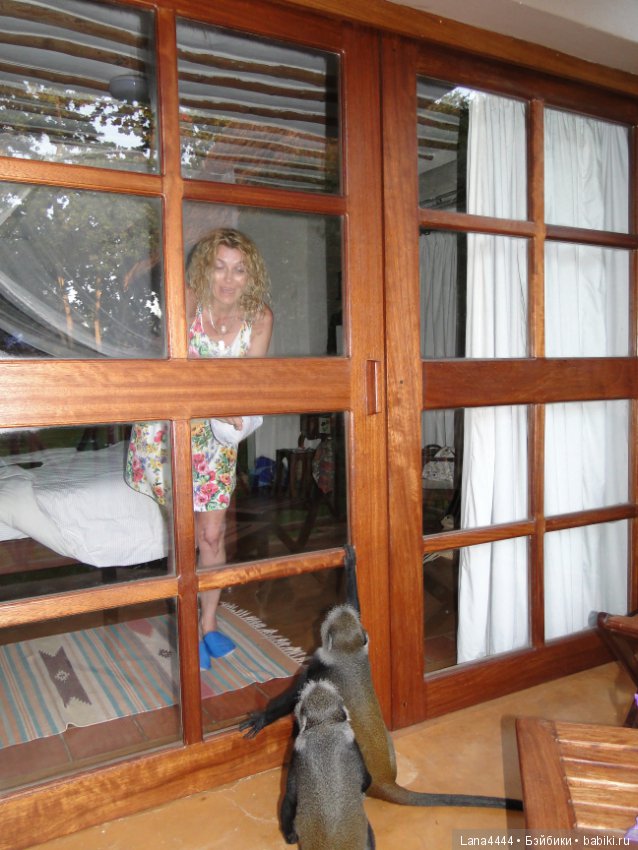 Приключения в Африке, как все начиналось... "Джамбо , Кения"