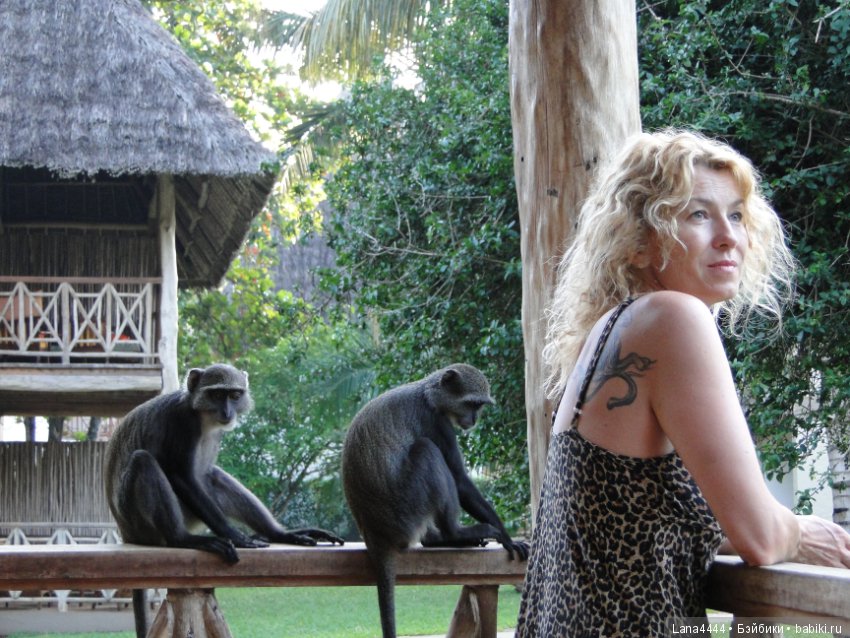 Приключения в Африке, как все начиналось... "Джамбо , Кения"