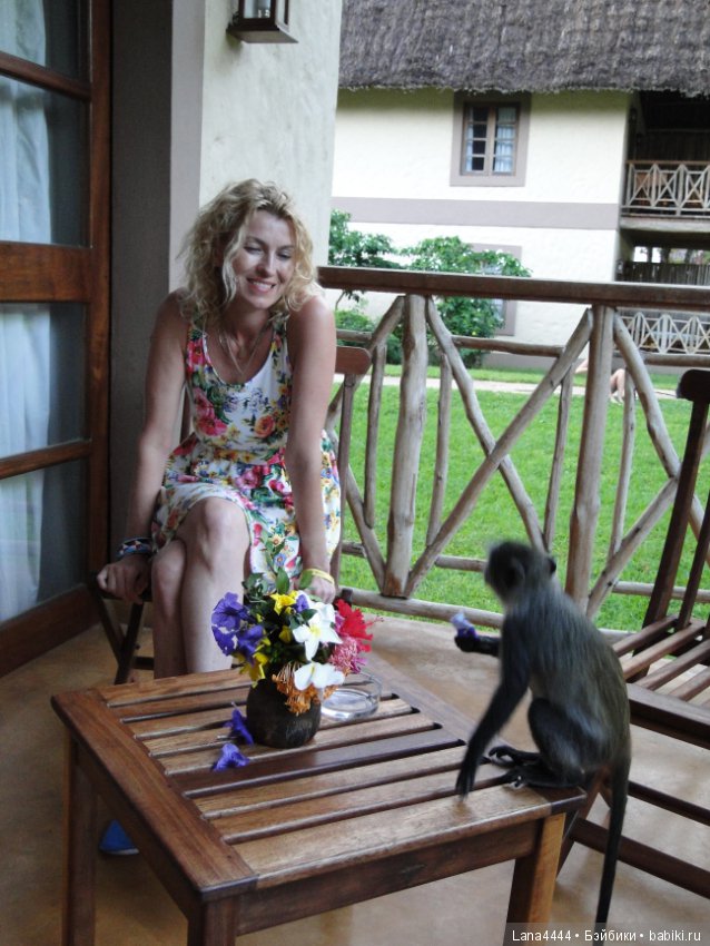 Приключения в Африке, как все начиналось... "Джамбо , Кения"