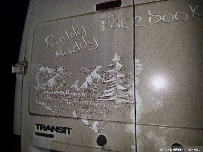 Развозчик цветов использует вместо красок и холста грязь на капоте своего грузовика (фото 4)