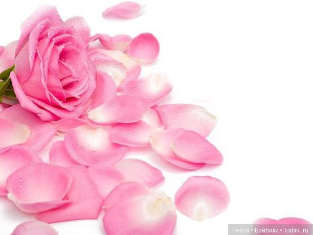 Лепестки розы. Kirsten и другие... Kidz'n'cats