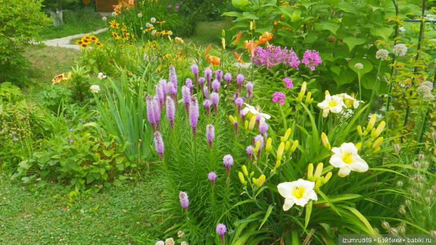 Мой прекрасный сад — Болталка и разговоры обо всем: жизнь