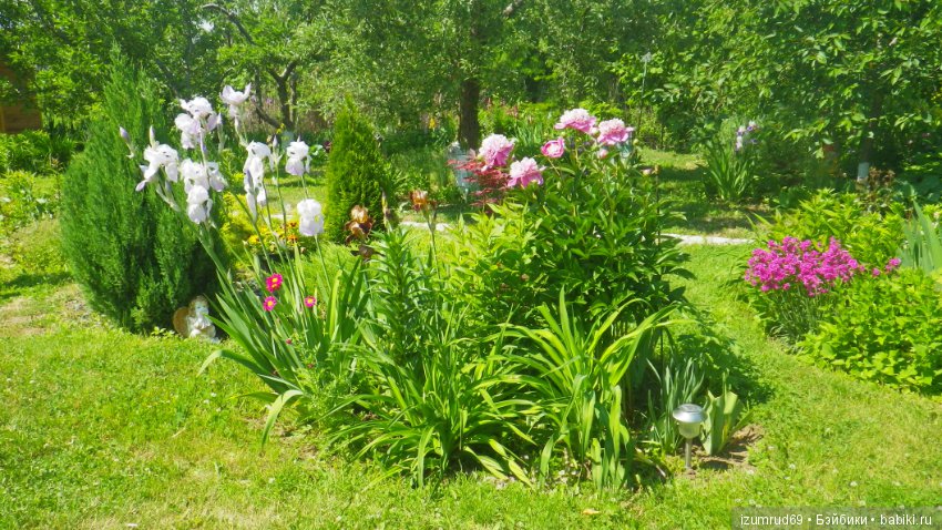 Мой прекрасный сад — Болталка и разговоры обо всем: жизнь