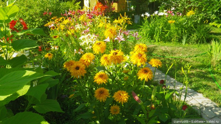 Мой прекрасный сад — Болталка и разговоры обо всем: жизнь