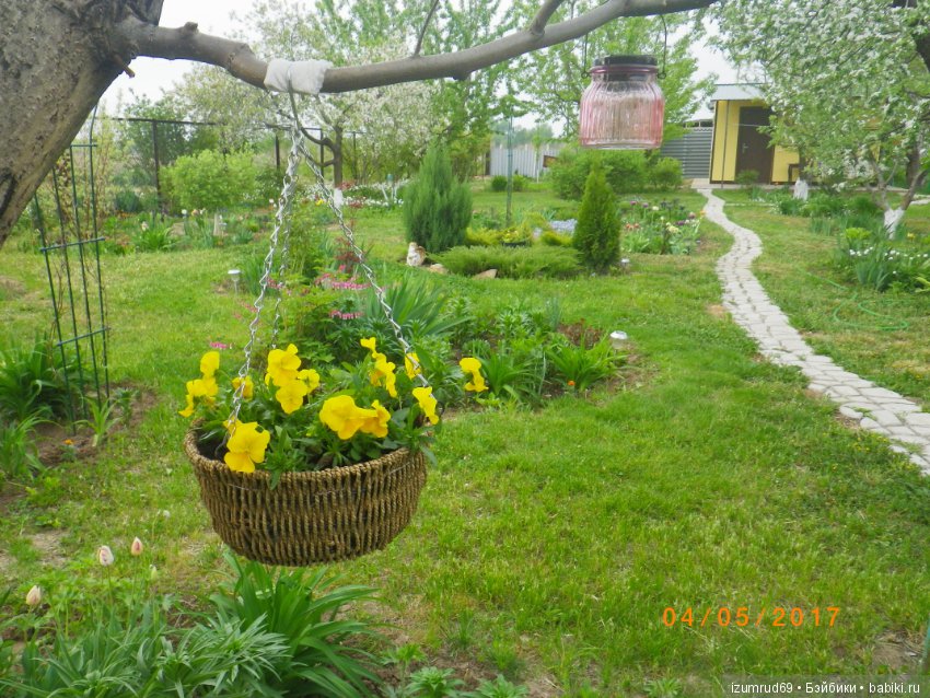 Мой прекрасный сад — Болталка и разговоры обо всем: жизнь (фото 5)