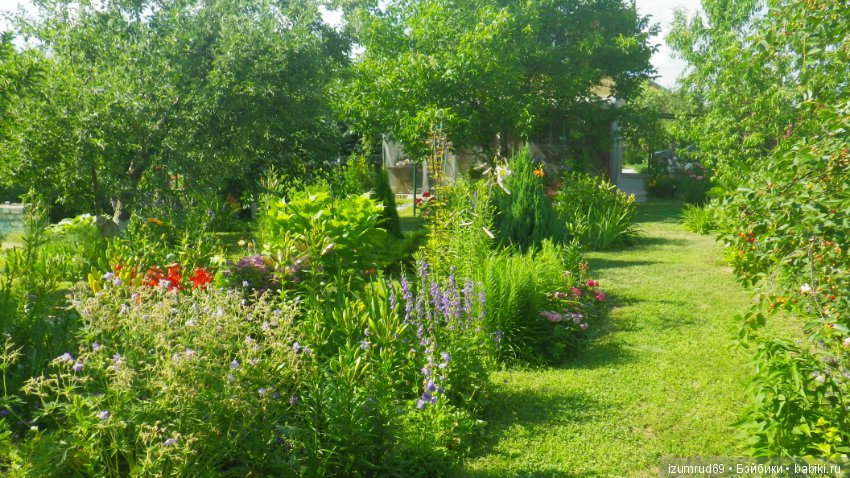 Мой прекрасный сад — Болталка и разговоры обо всем: жизнь