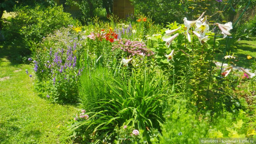 Мой прекрасный сад — Болталка и разговоры обо всем: жизнь