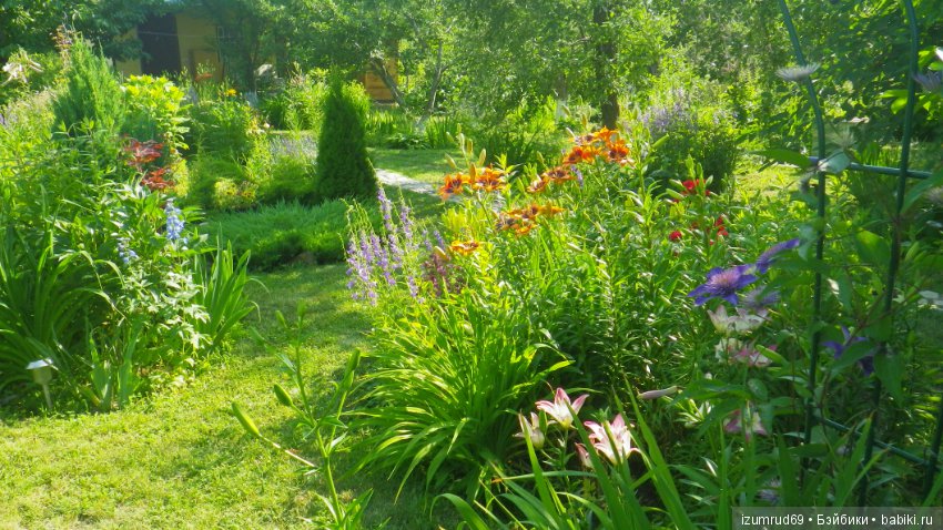 Мой прекрасный сад — Болталка и разговоры обо всем: жизнь