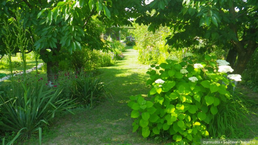 Мой прекрасный сад — Болталка и разговоры обо всем: жизнь
