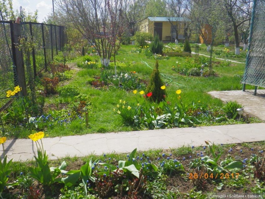 Мой прекрасный сад — Болталка и разговоры обо всем: жизнь (фото 2)