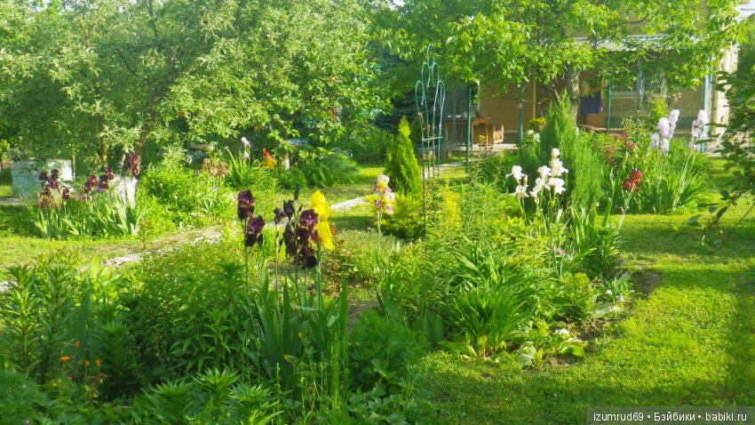 Мой прекрасный сад — Болталка и разговоры обо всем: жизнь