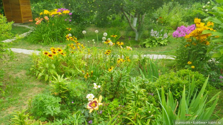 Мой прекрасный сад — Болталка и разговоры обо всем: жизнь