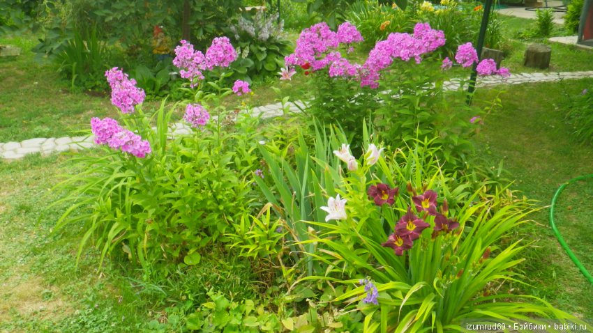 Мой прекрасный сад — Болталка и разговоры обо всем: жизнь