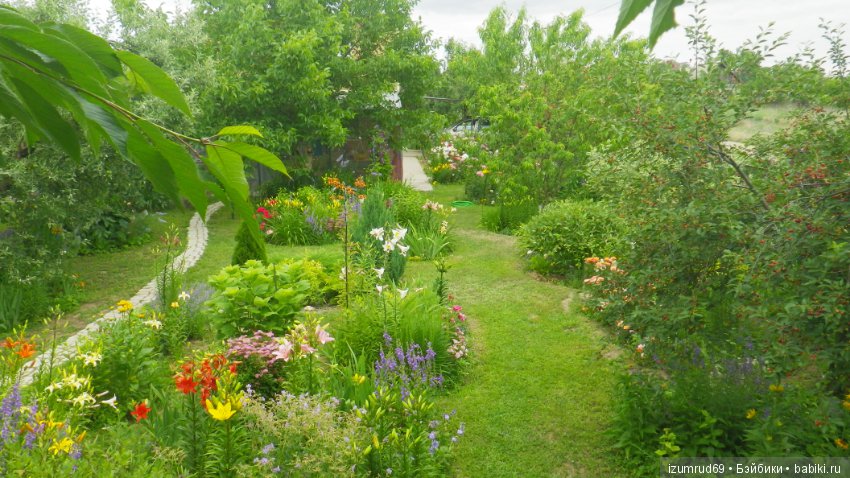 Мой прекрасный сад — Болталка и разговоры обо всем: жизнь