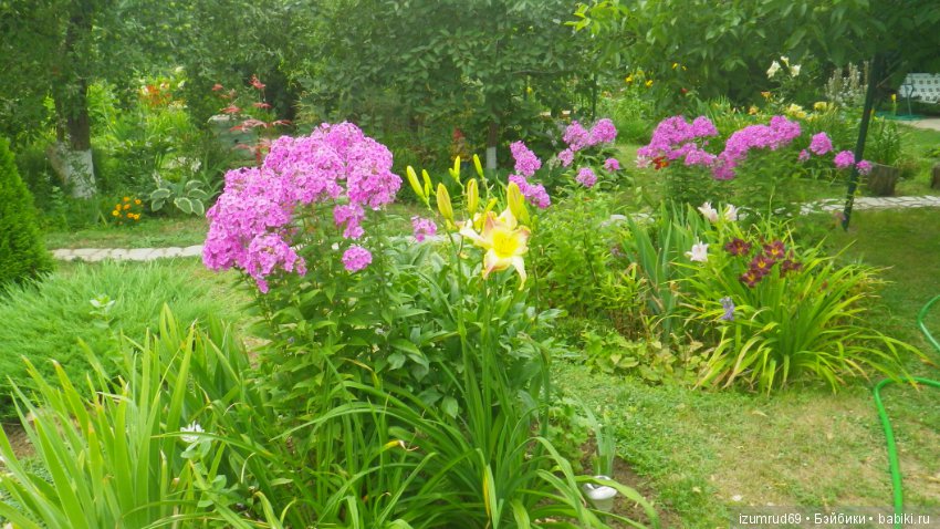 Мой прекрасный сад — Болталка и разговоры обо всем: жизнь