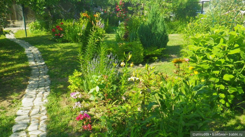 Мой прекрасный сад — Болталка и разговоры обо всем: жизнь