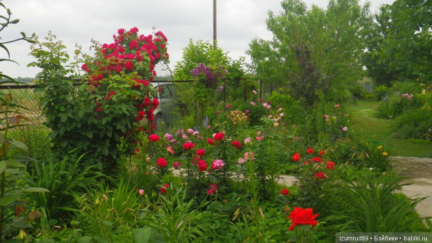 Мой прекрасный сад — Болталка и разговоры обо всем: жизнь