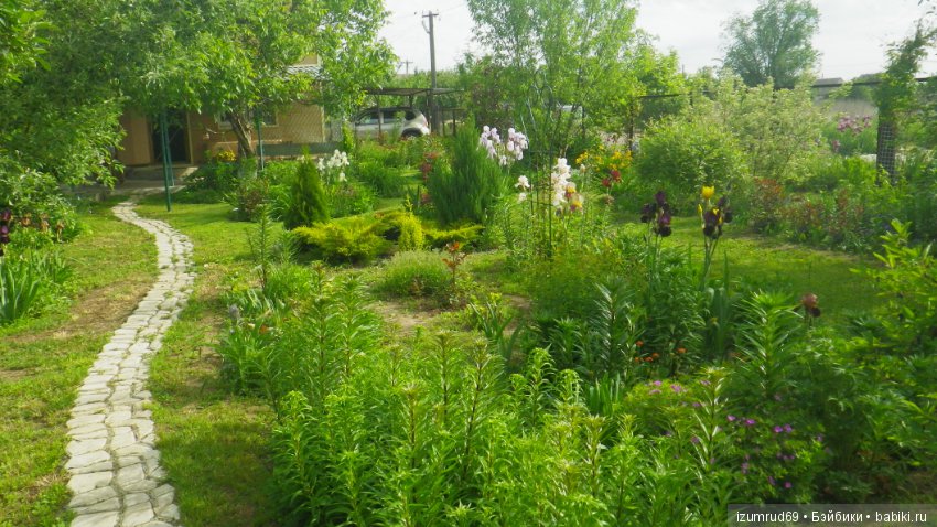 Мой прекрасный сад — Болталка и разговоры обо всем: жизнь