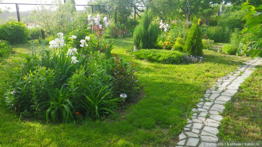 Мой прекрасный сад — Болталка и разговоры обо всем: жизнь