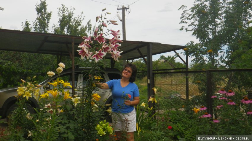 Мой прекрасный сад — Болталка и разговоры обо всем: жизнь