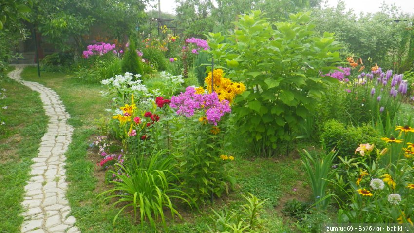 Мой прекрасный сад — Болталка и разговоры обо всем: жизнь