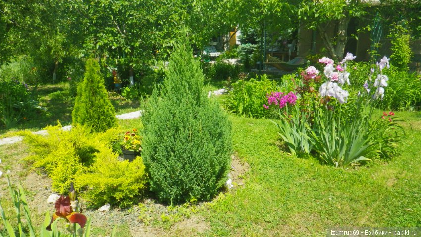 Мой прекрасный сад — Болталка и разговоры обо всем: жизнь