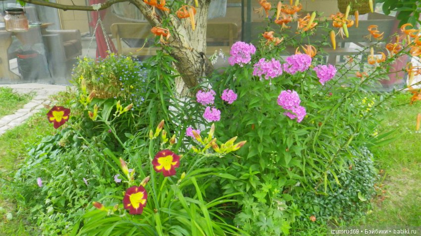 Мой прекрасный сад — Болталка и разговоры обо всем: жизнь