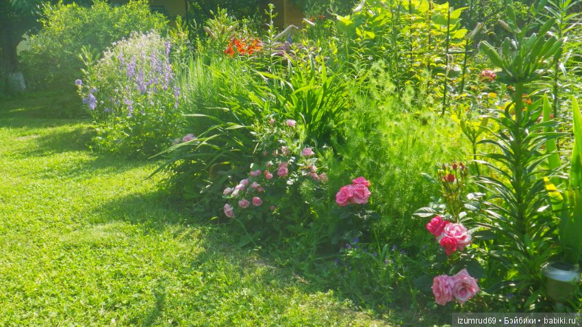 Мой прекрасный сад — Болталка и разговоры обо всем: жизнь