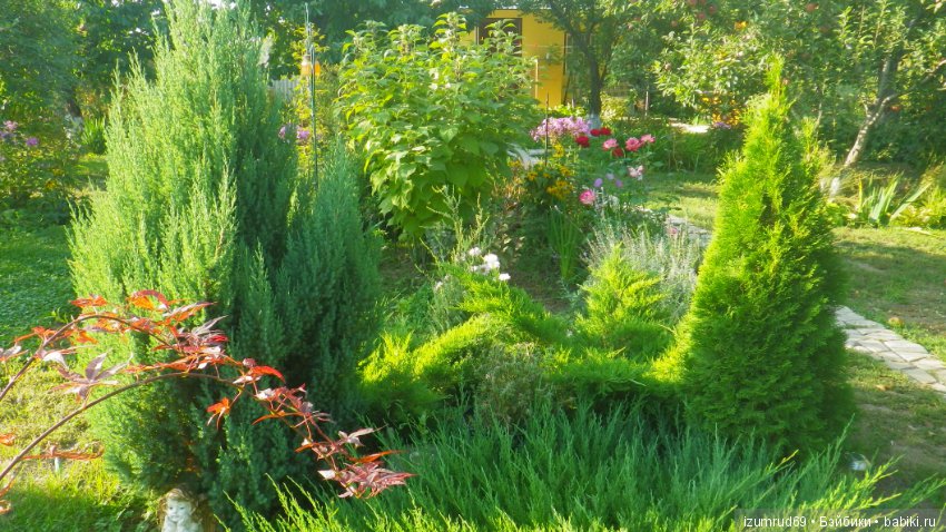 Мой прекрасный сад — Болталка и разговоры обо всем: жизнь