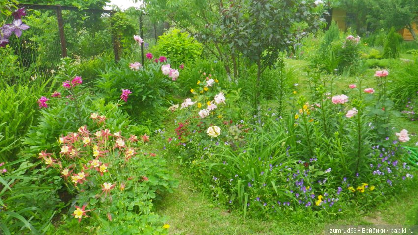 Мой прекрасный сад — Болталка и разговоры обо всем: жизнь