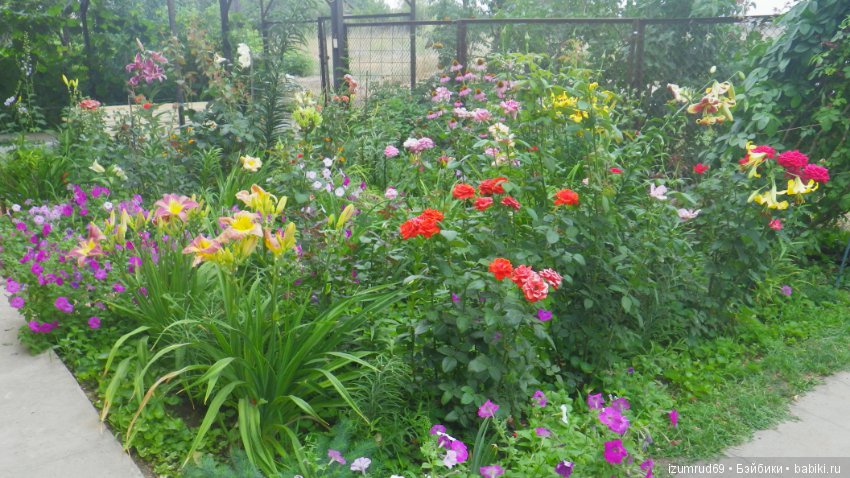 Мой прекрасный сад — Болталка и разговоры обо всем: жизнь