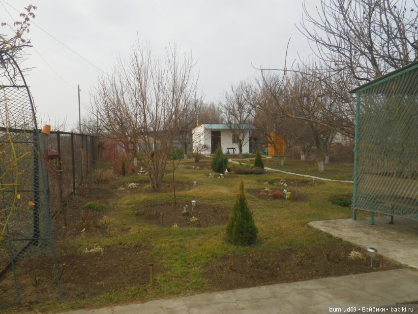 Мой прекрасный сад — Болталка и разговоры обо всем: жизнь