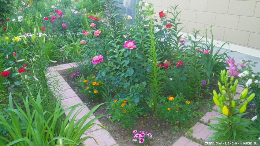 Мой прекрасный сад — Болталка и разговоры обо всем: жизнь