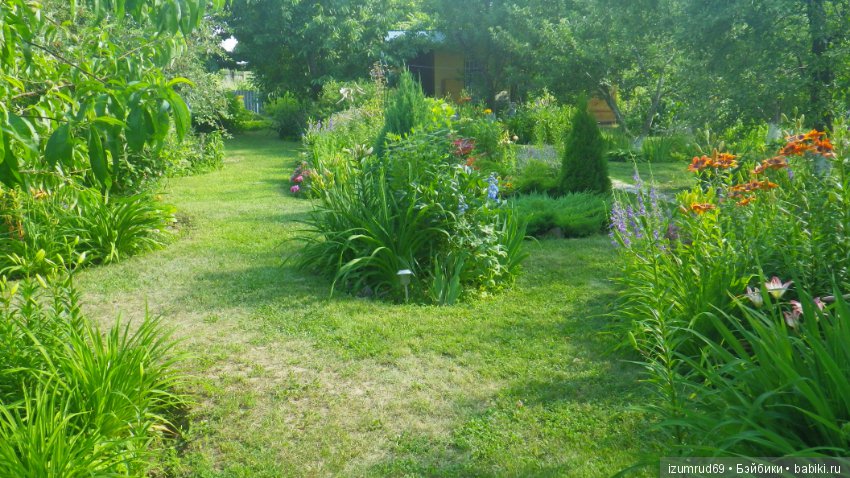 Мой прекрасный сад — Болталка и разговоры обо всем: жизнь