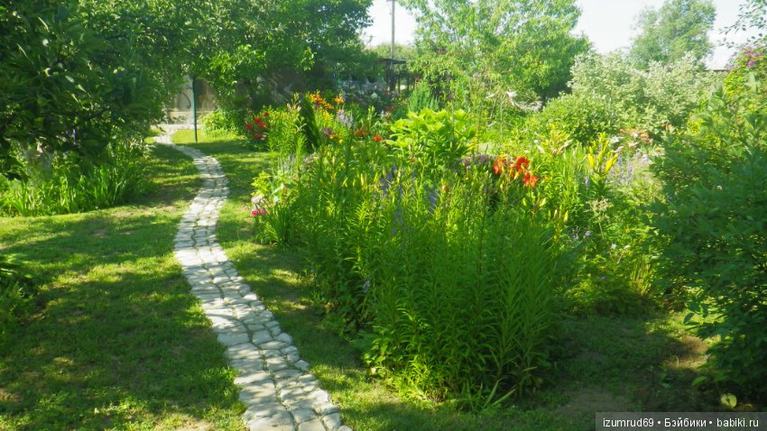 Мой прекрасный сад — Болталка и разговоры обо всем: жизнь