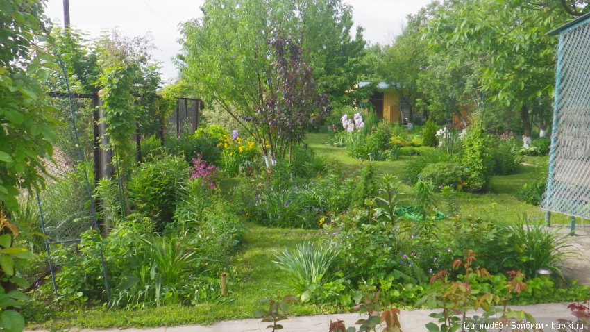 Мой прекрасный сад — Болталка и разговоры обо всем: жизнь (фото 8)