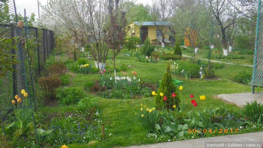 Мой прекрасный сад — Болталка и разговоры обо всем: жизнь (фото 3)