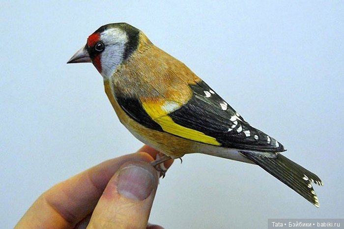 Бумажные, но как живые. Реалистичные фигурки птиц от Йохана Шерфта (фото 3)