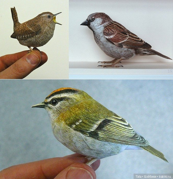 Бумажные, но как живые. Реалистичные фигурки птиц от Йохана Шерфта (фото 5)