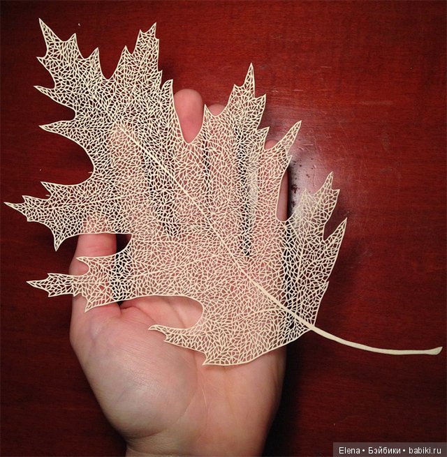 Невероятно изящные произведения из бумаги Мод Уайт